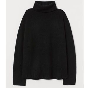 H&M Slouchy Turtleneck Sweater
